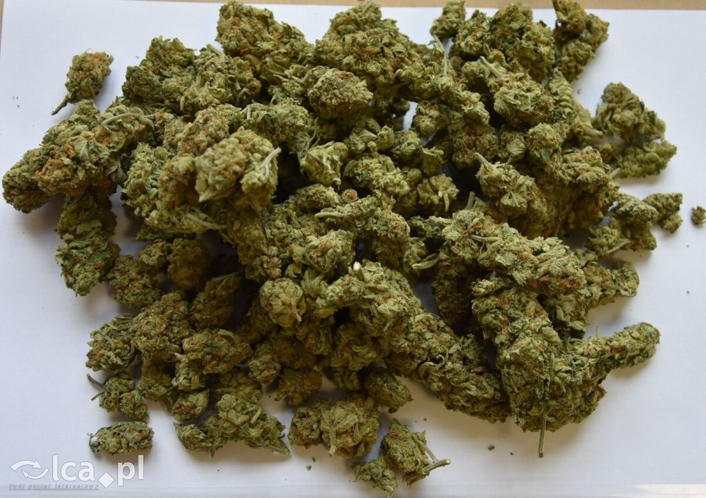 Narkotyki i tytoń w domu 61-latka