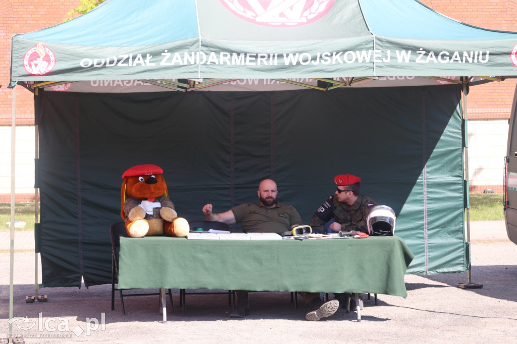 Wojsko pokazuje się z bliska w Collegium Witelona