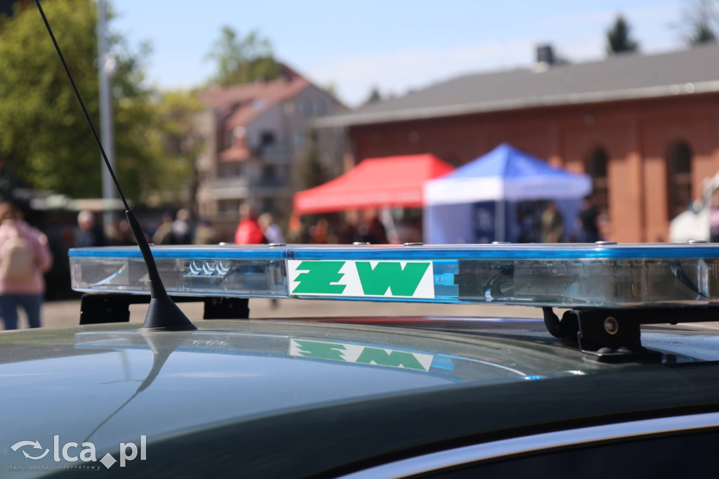 Wojsko pokazuje się z bliska w Collegium Witelona