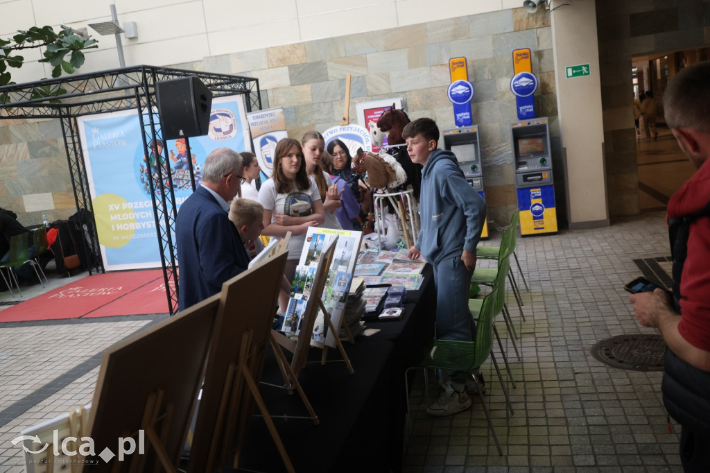 Przegląd młodych kolekcjonerów