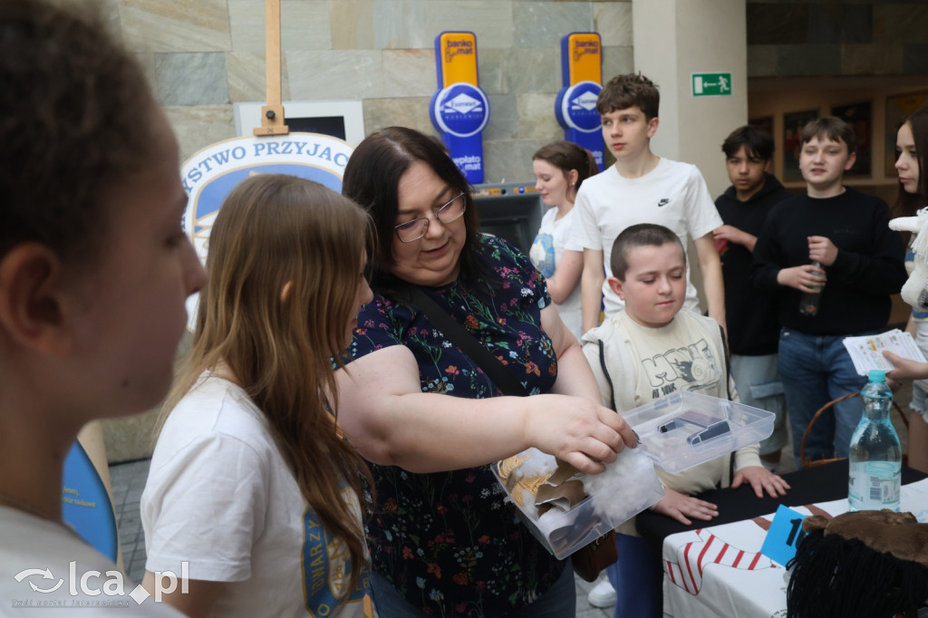 Przegląd młodych kolekcjonerów