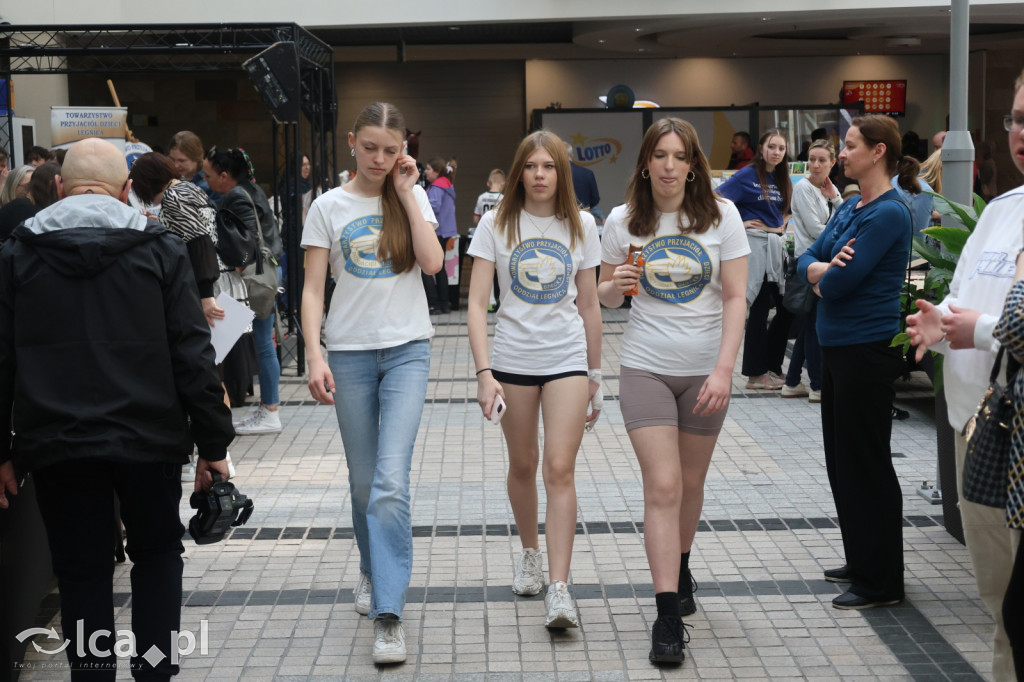 Przegląd młodych kolekcjonerów