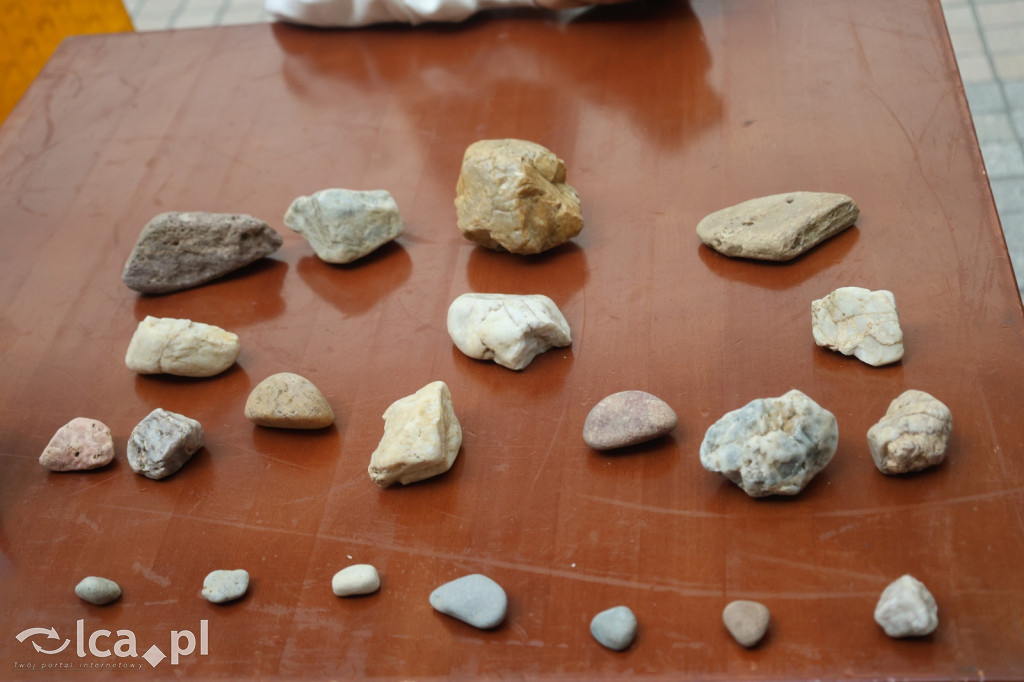 Przegląd młodych kolekcjonerów