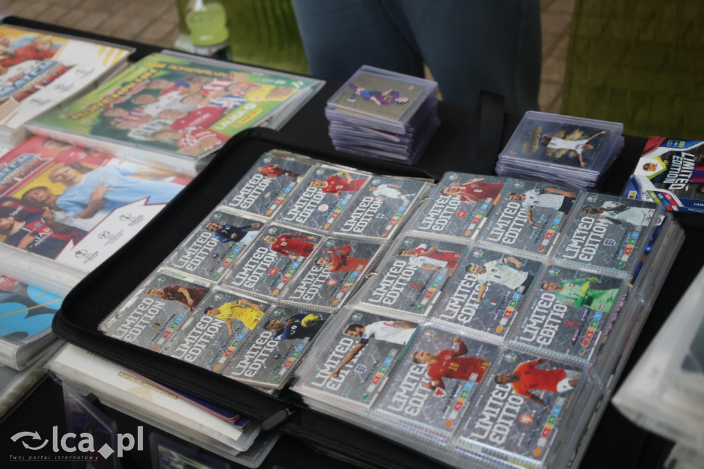 Przegląd młodych kolekcjonerów