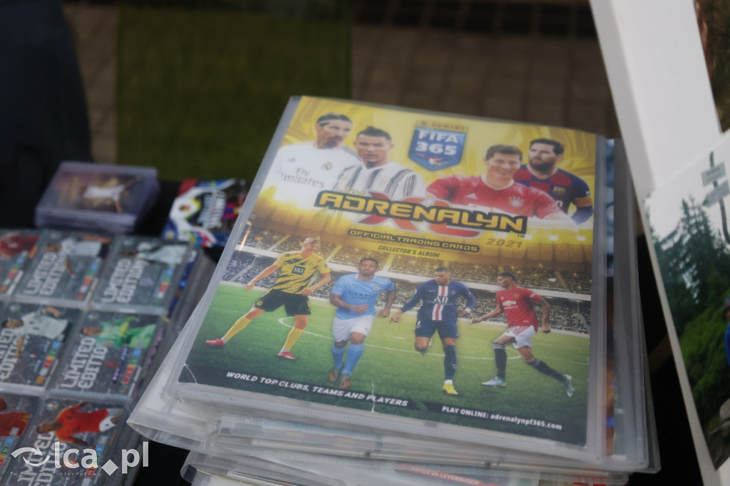 Przegląd młodych kolekcjonerów