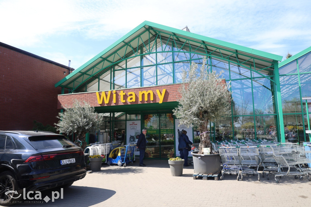 SŁODKI MASTERCHEF w sercu zieleni!