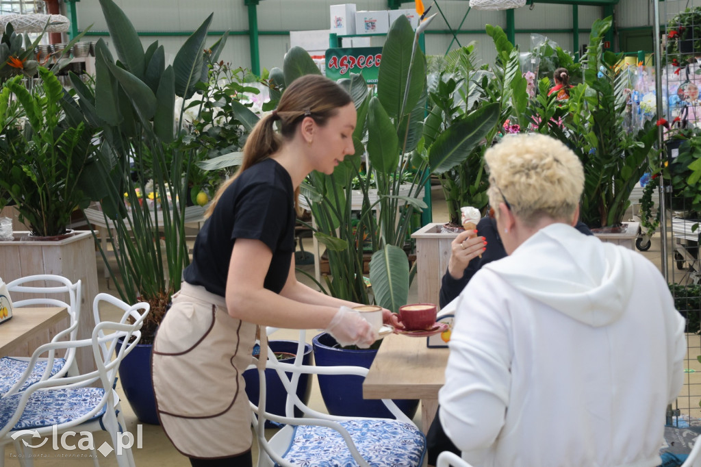 SŁODKI MASTERCHEF w sercu zieleni!
