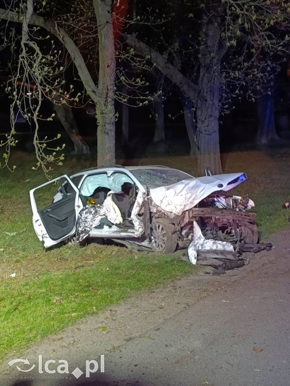 Uciekał, stracił kontrolę i uderzył w drzewo