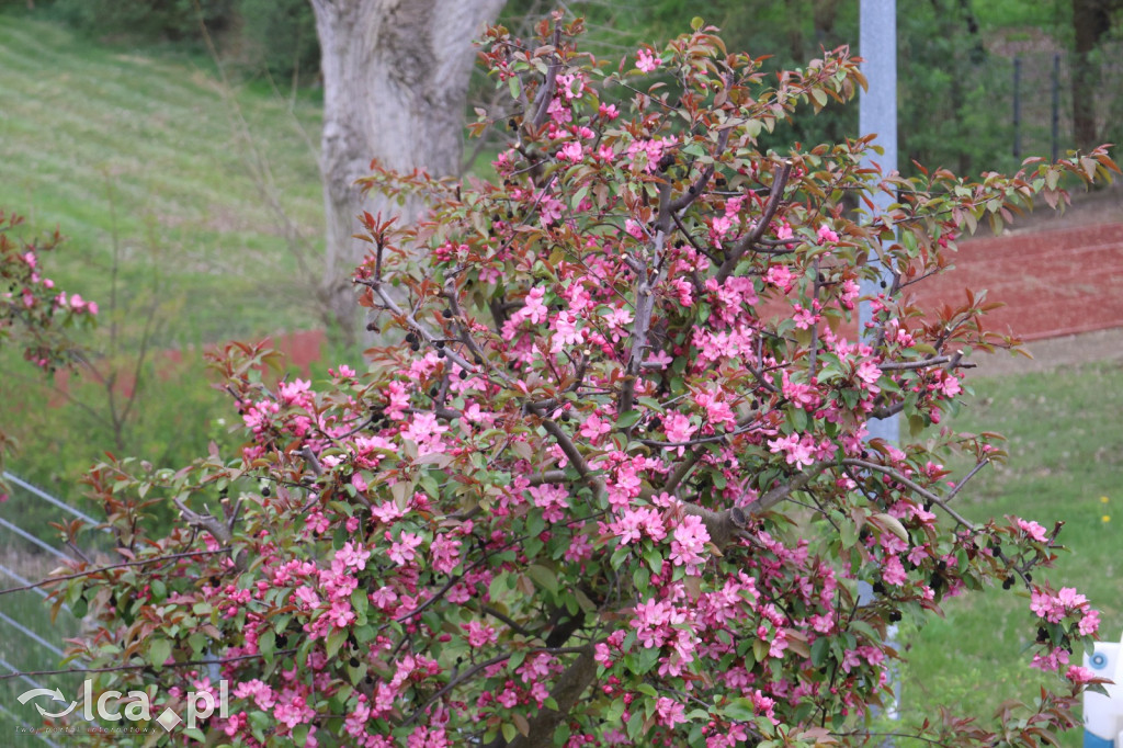 Młodzi wojownicy w akcji!