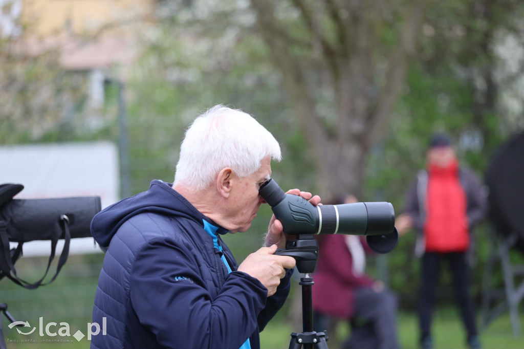 Młodzi wojownicy w akcji!