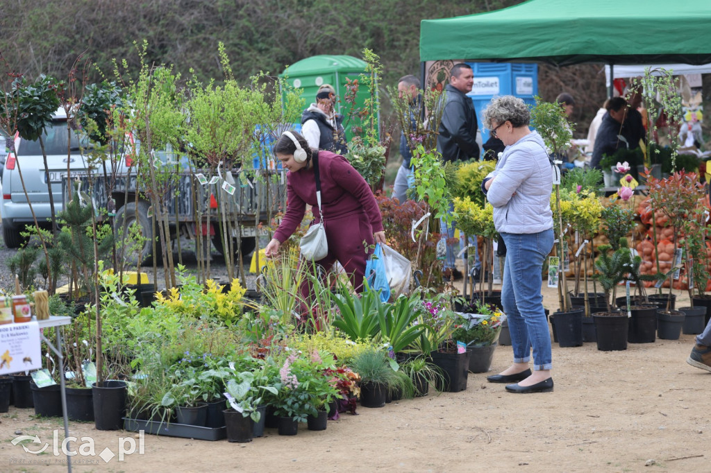 Tłumy i lokalne skarby w Bartoszowie!