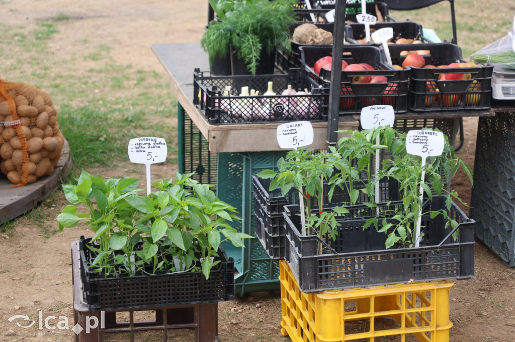 Tłumy i lokalne skarby w Bartoszowie!