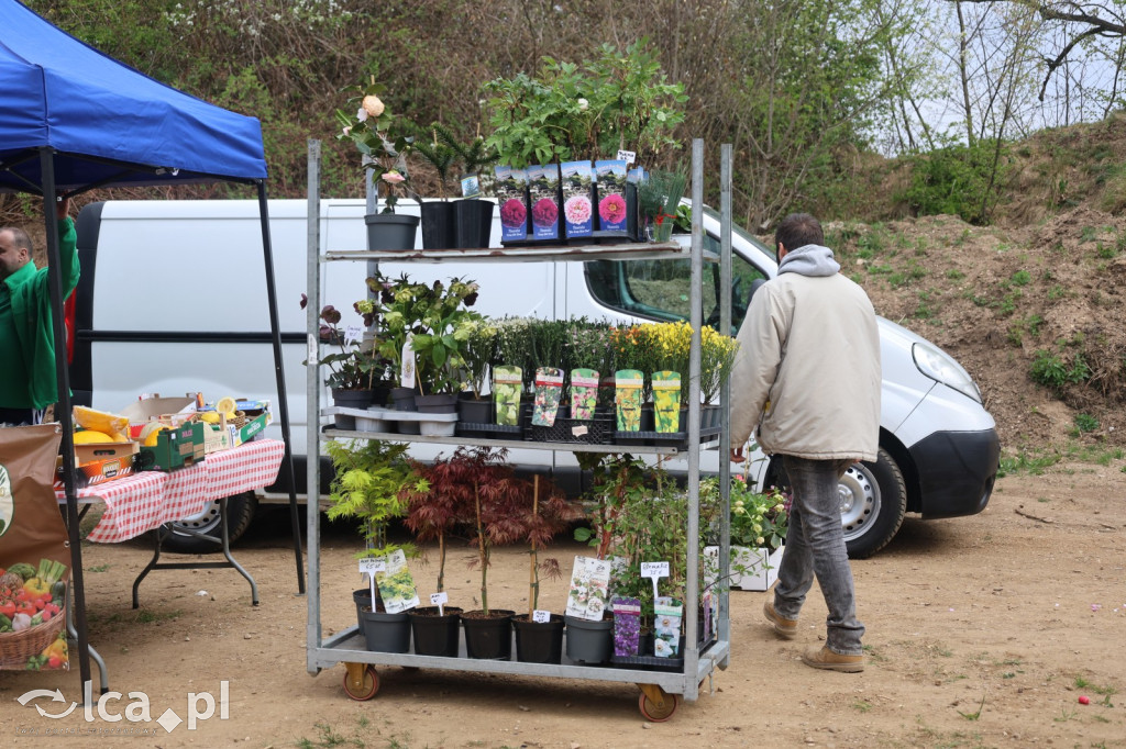 Tłumy i lokalne skarby w Bartoszowie!