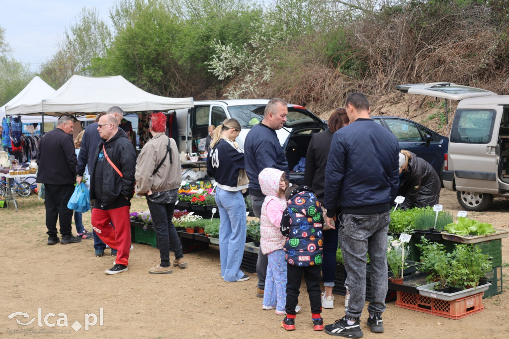 Tłumy i lokalne skarby w Bartoszowie!