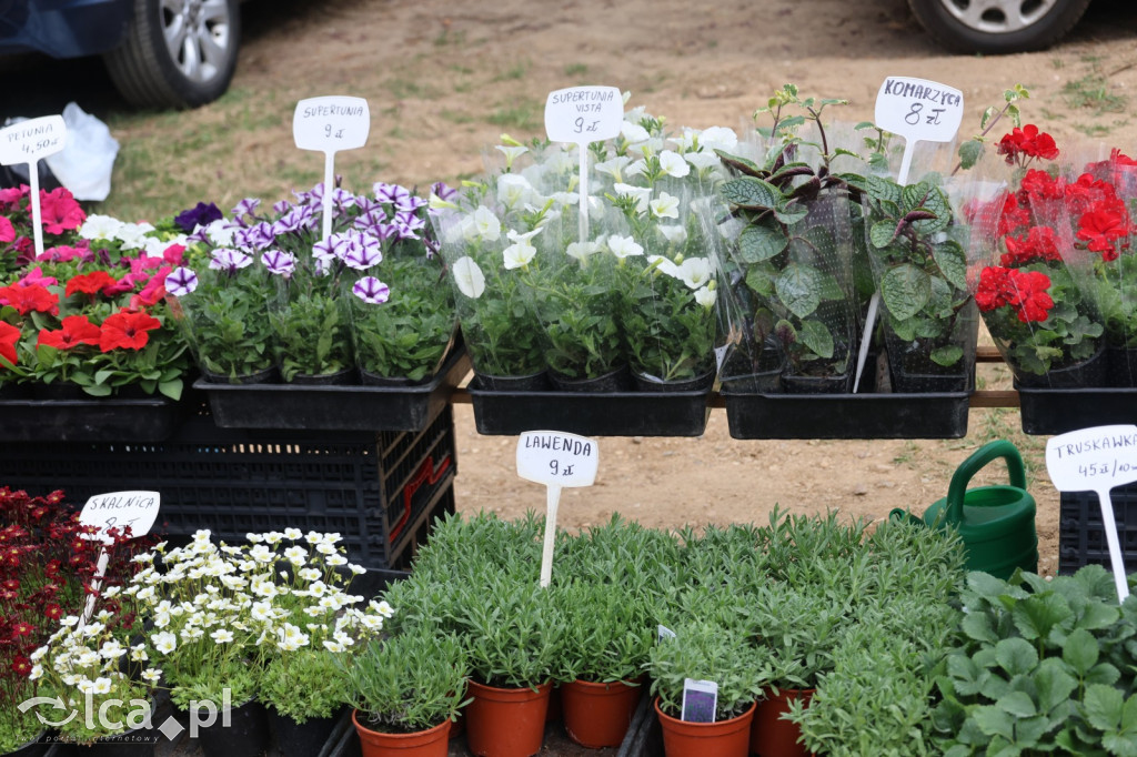 Tłumy i lokalne skarby w Bartoszowie!