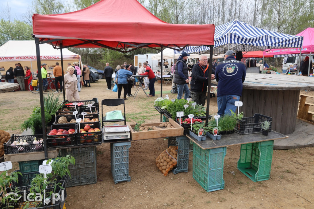 Tłumy i lokalne skarby w Bartoszowie!