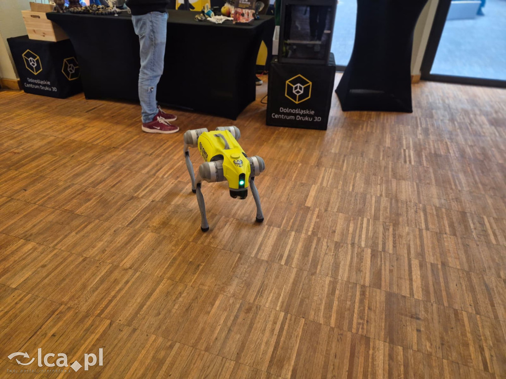 Kolejowy Dzień z KD