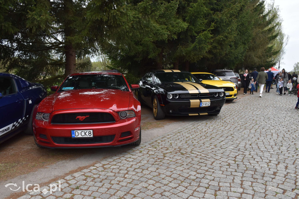 Wspólna akcja dla Michałka połączyła ludzi