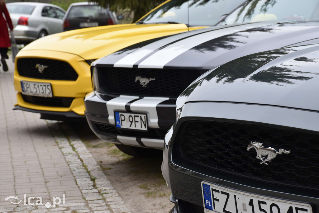 Wspólna akcja dla Michałka połączyła ludzi