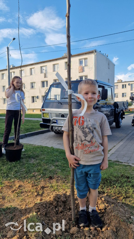 Na osiedlu Złotniki powstał „Park Wiejski”