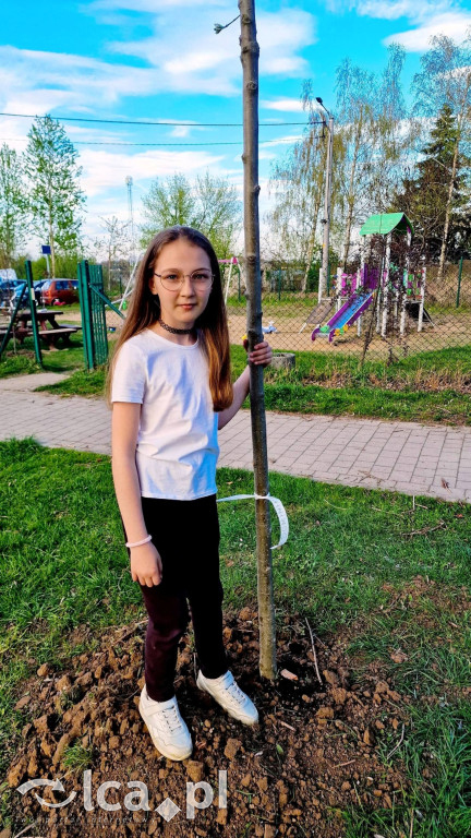 Na osiedlu Złotniki powstał „Park Wiejski”