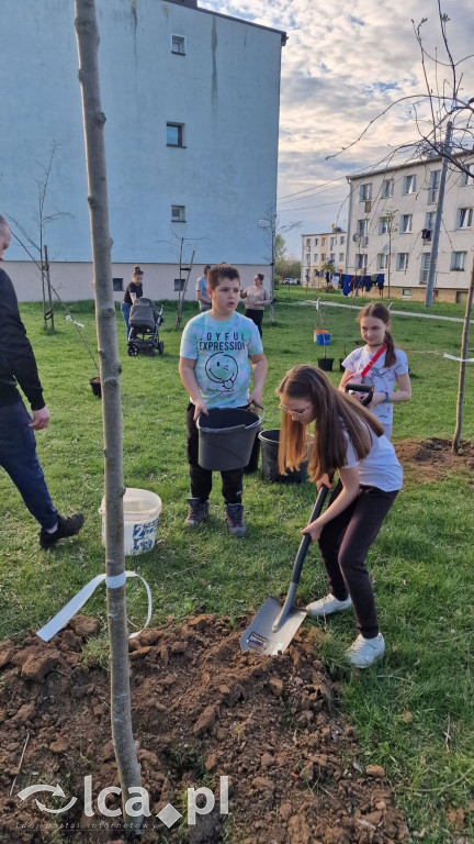 Na osiedlu Złotniki powstał „Park Wiejski”