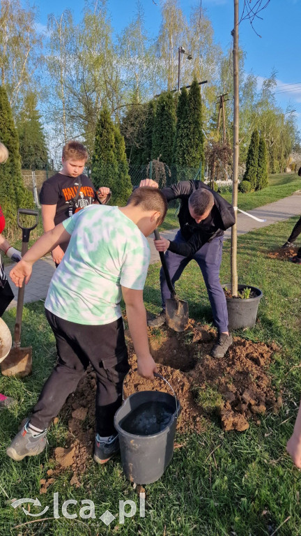 Na osiedlu Złotniki powstał „Park Wiejski”