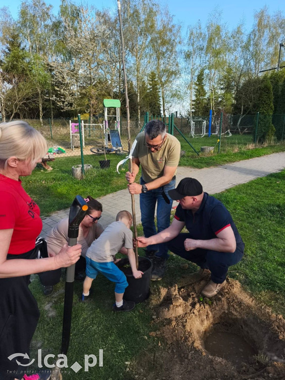 Na osiedlu Złotniki powstał „Park Wiejski”