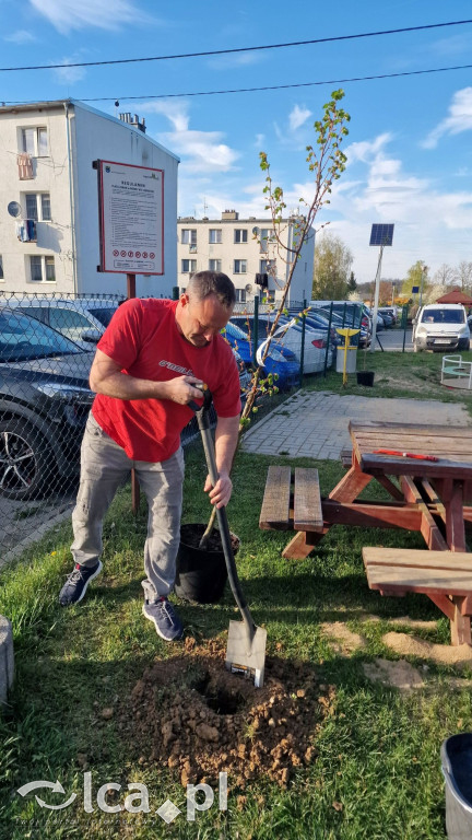 Na osiedlu Złotniki powstał „Park Wiejski”