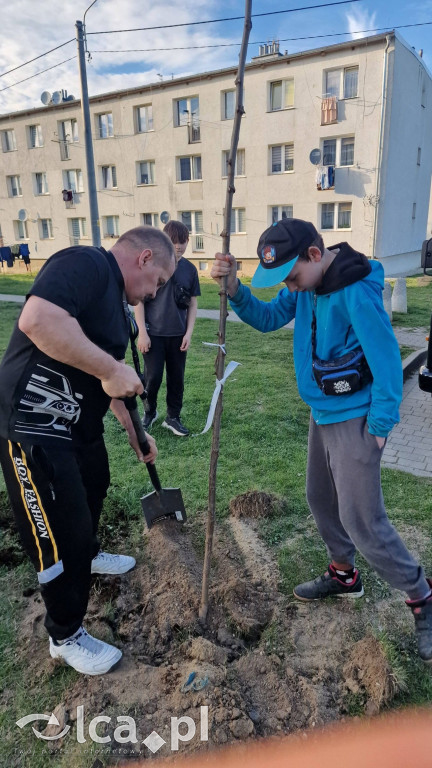Na osiedlu Złotniki powstał „Park Wiejski”