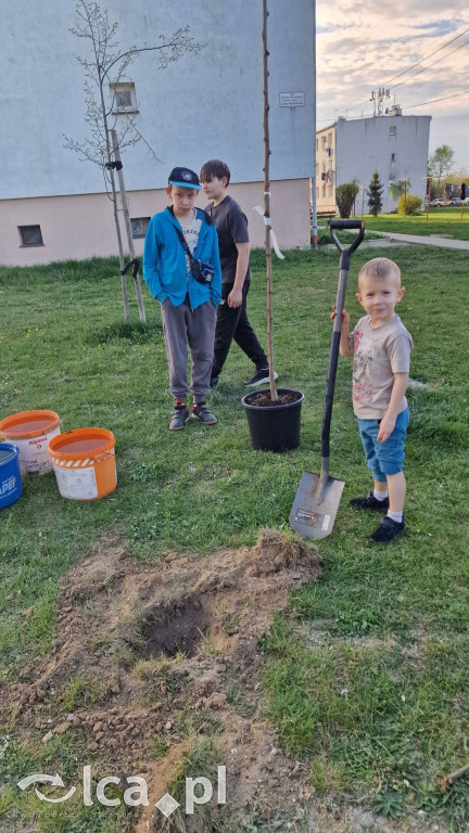 Na osiedlu Złotniki powstał „Park Wiejski”