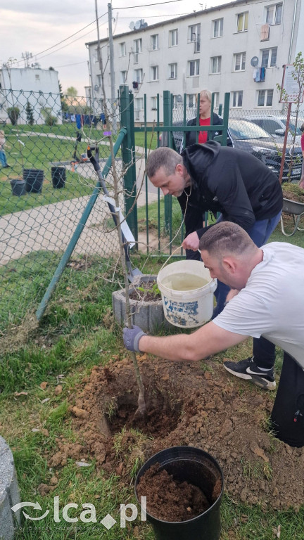 Na osiedlu Złotniki powstał „Park Wiejski”