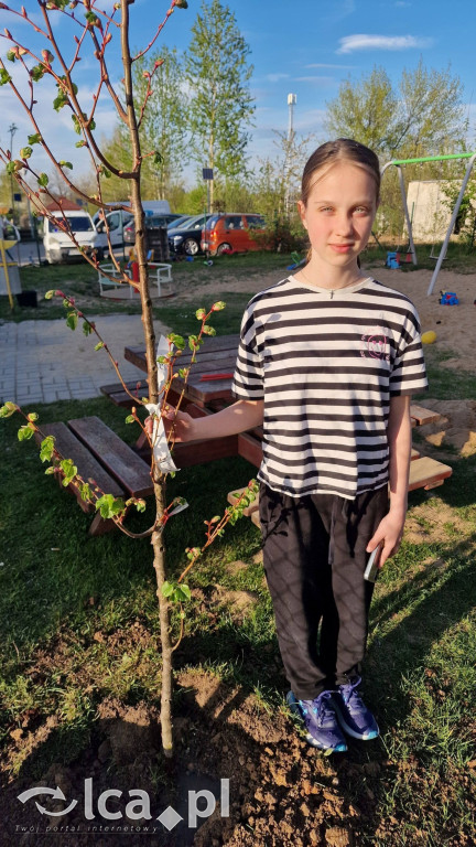 Na osiedlu Złotniki powstał „Park Wiejski”