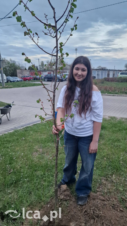 Na osiedlu Złotniki powstał „Park Wiejski”