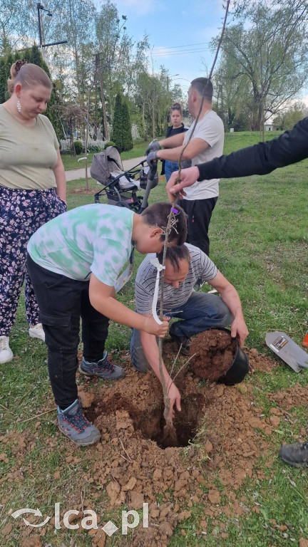 Na osiedlu Złotniki powstał „Park Wiejski”