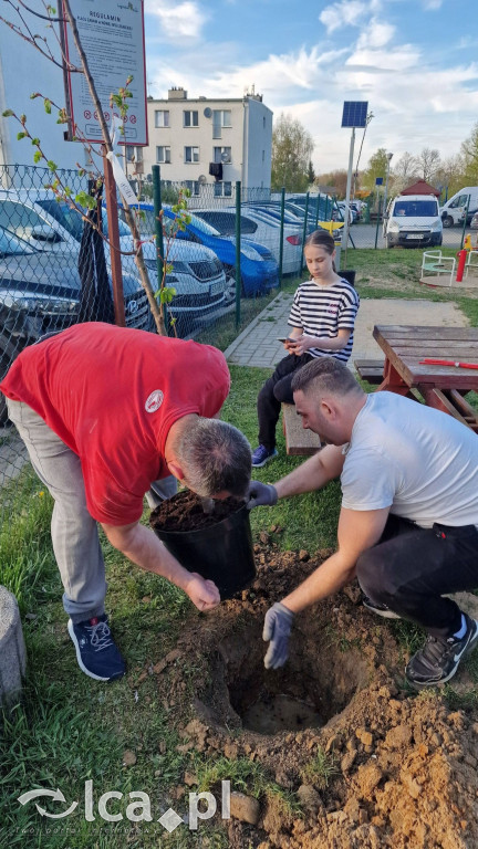 Na osiedlu Złotniki powstał „Park Wiejski”