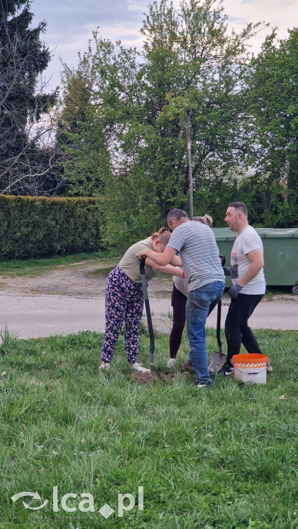 Na osiedlu Złotniki powstał „Park Wiejski”