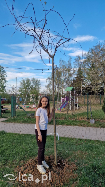 Na osiedlu Złotniki powstał „Park Wiejski”