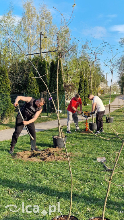 Na osiedlu Złotniki powstał „Park Wiejski”