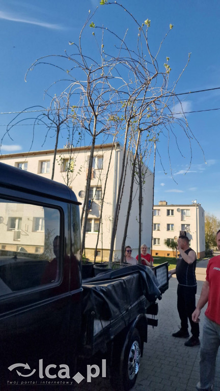 Na osiedlu Złotniki powstał „Park Wiejski”