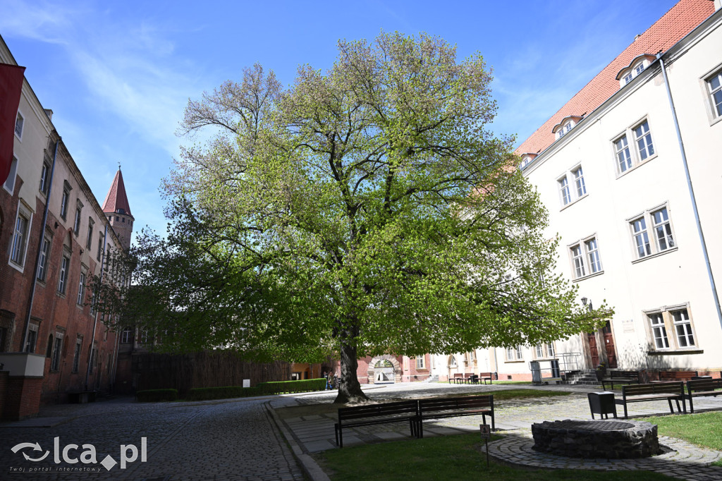 Legnicka warownia znów zaprasza