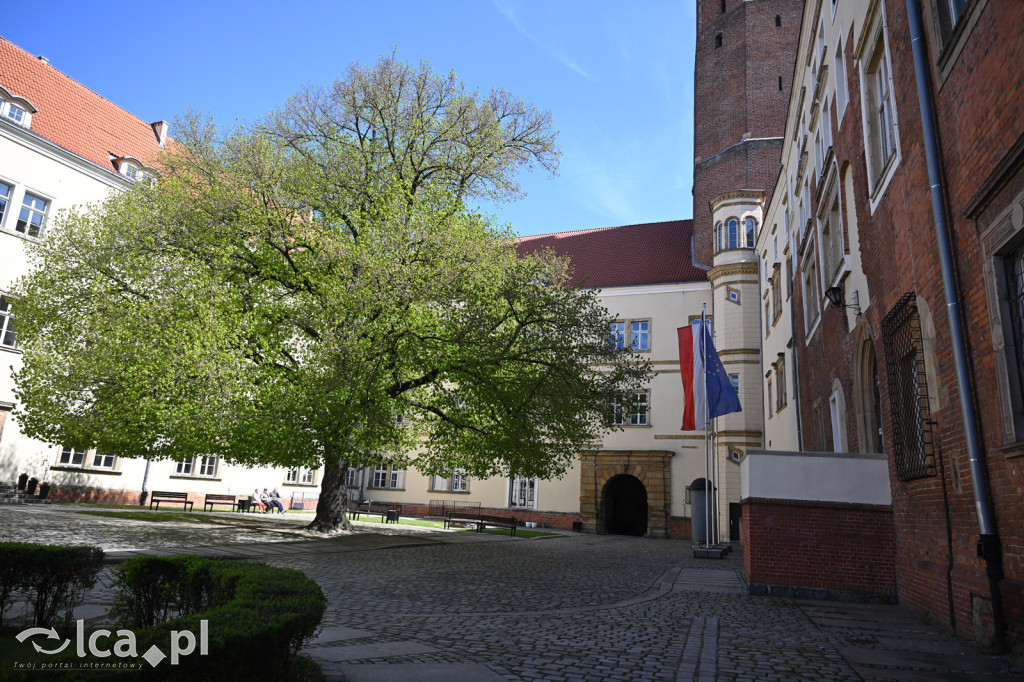 Legnicka warownia znów zaprasza