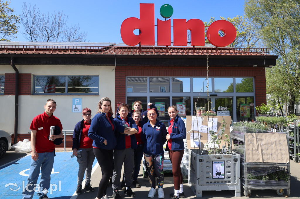 Traktują nas jak roboty. Strajk w Dino
