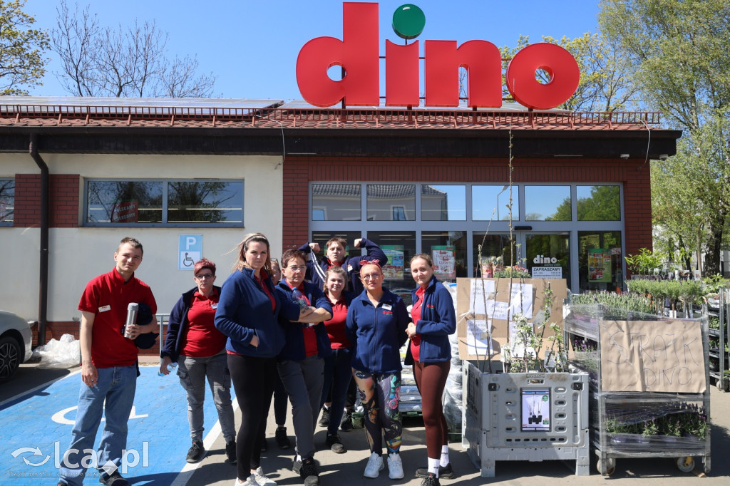 Traktują nas jak roboty. Strajk w Dino