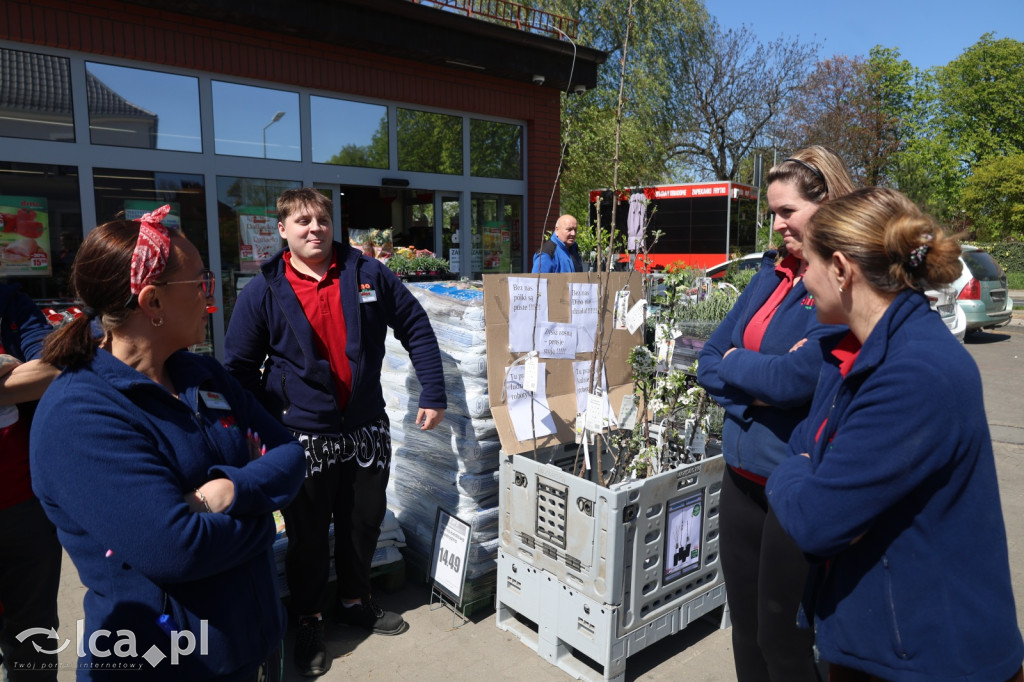 Traktują nas jak roboty. Strajk w Dino