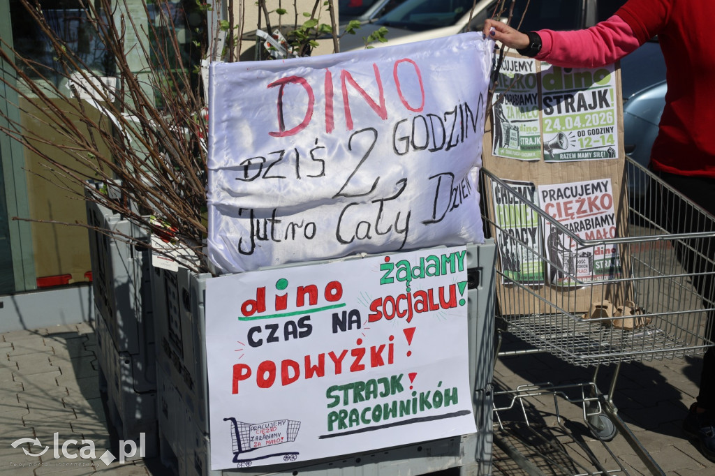 Traktują nas jak roboty. Strajk w Dino