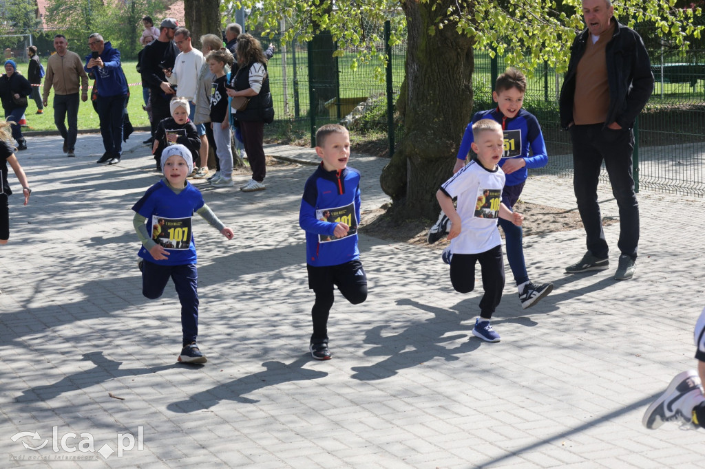 Młodzi biegacze w Legnickim Polu