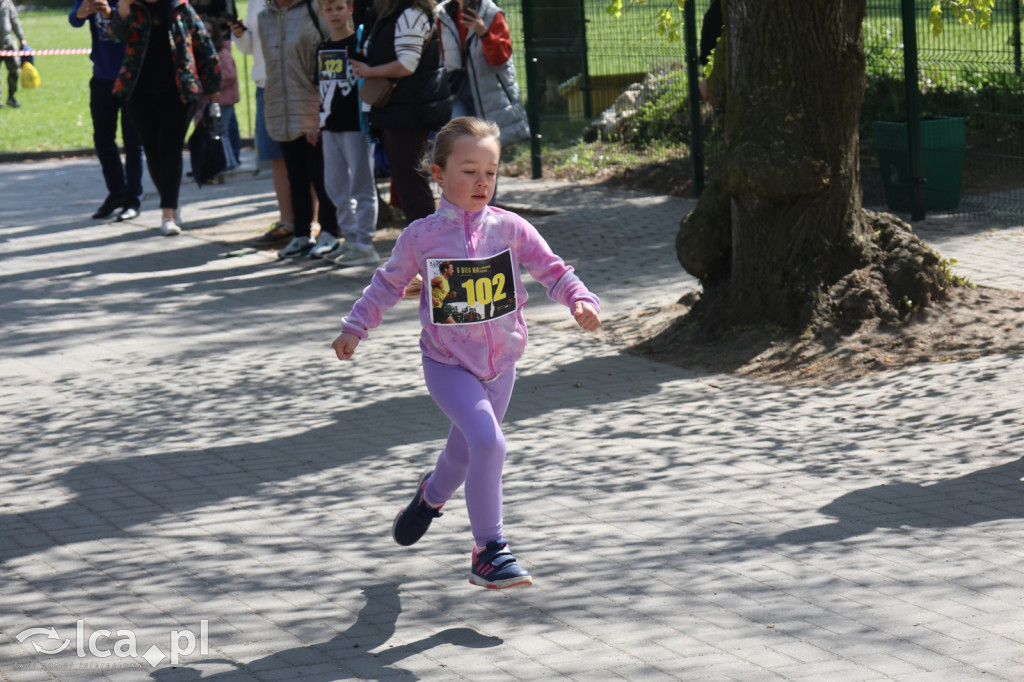 Młodzi biegacze w Legnickim Polu