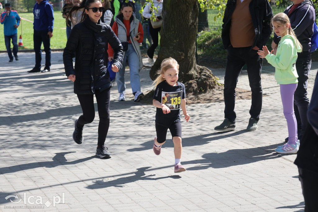 Młodzi biegacze w Legnickim Polu