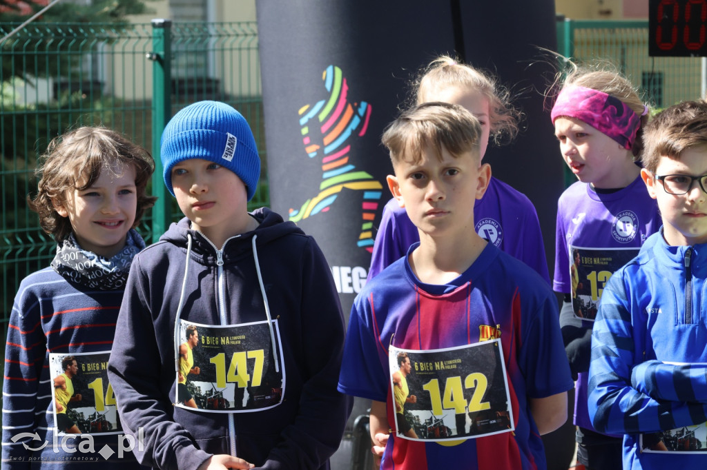 Młodzi biegacze w Legnickim Polu